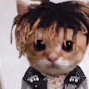 Meet your Posher, Owen